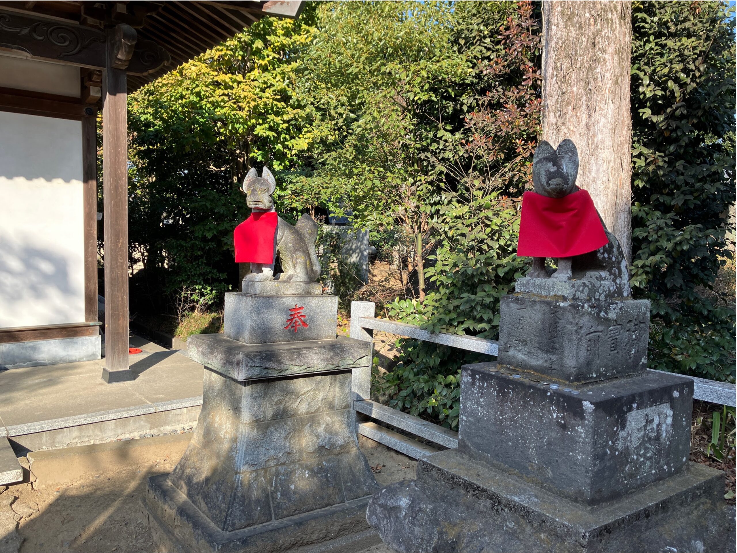 お狐様も赤い衣を纏っていらっしゃいました。